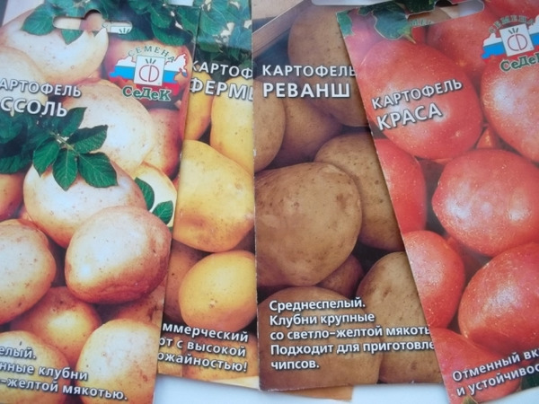 Выбор семян – важное условие к рождению хорошего урожая